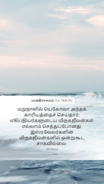 யாத்திராகமம் 9:6 TAMIRV Bible Verse Image