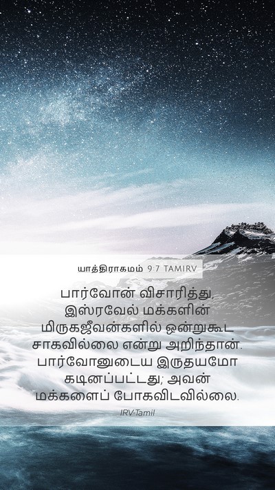 யாத்திராகமம் 9:7 TAMIRV Mobile Phone Wallpaper - பார்வோன் - Mobile Bible Verse Wallpaper