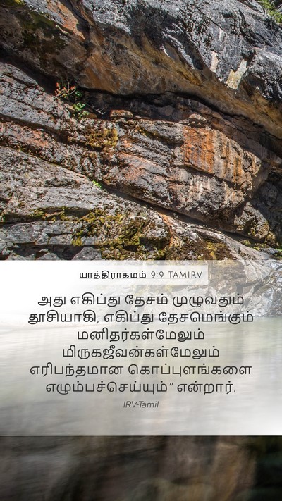 யாத்திராகமம் 9:9 TAMIRV Bible Verse Image