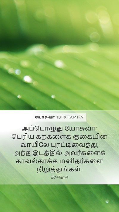 யோசுவா 10:18 TAMIRV Mobile Phone Wallpaper - அப்பொழுது யோசுவா: - Mobile Bible Verse Wallpaper