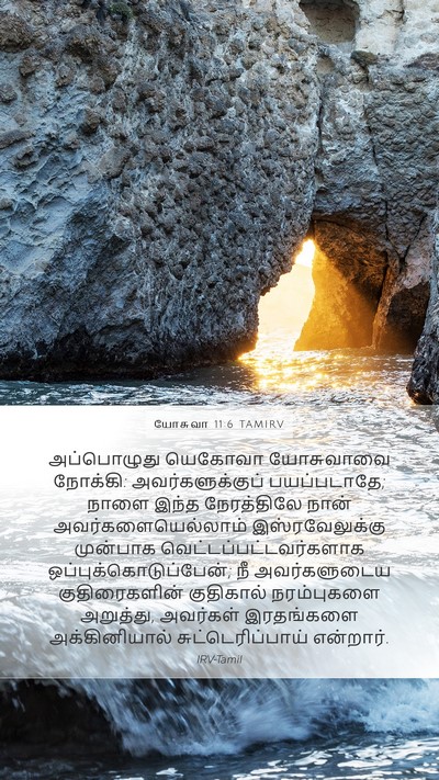 யோசுவா 11:6 TAMIRV Bible Verse Image