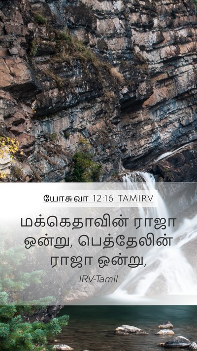 யோசுவா 12:16 TAMIRV Mobile Phone Wallpaper - மக்கெதாவின் ராஜா - Mobile Bible Verse Wallpaper