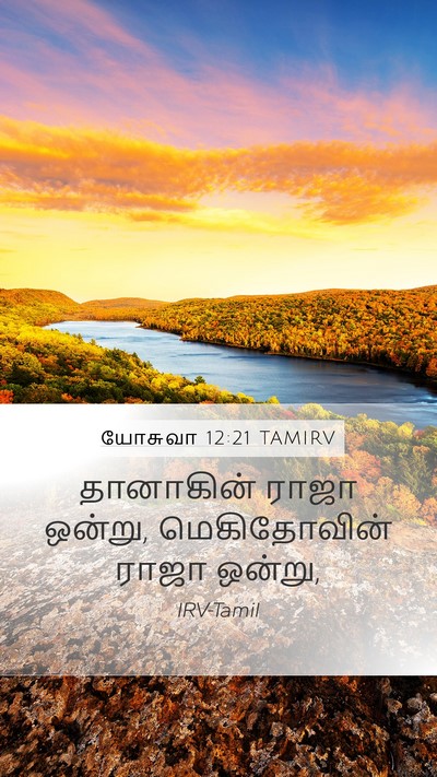 யோசுவா 12:21 TAMIRV Mobile Phone Wallpaper - தானாகின் ராஜா - Mobile Bible Verse Wallpaper