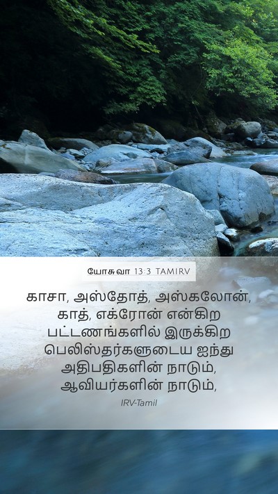 யோசுவா 13:3 TAMIRV Bible Verse Image