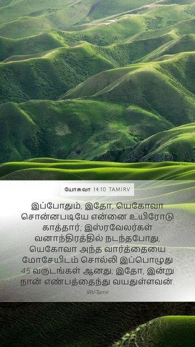 யோசுவா 14:10 TAMIRV Mobile Phone Wallpaper - இப்போதும், இதோ, - Mobile Bible Verse Wallpaper