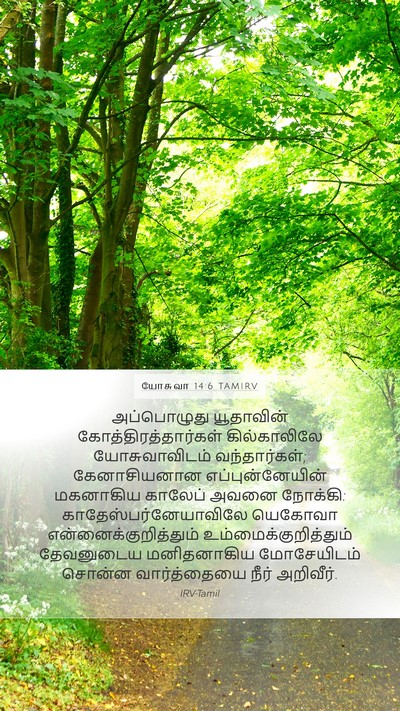 யோசுவா 14:6 TAMIRV Bible Verse Image