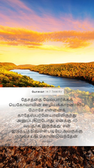 யோசுவா 14:7 TAMIRV Bible Verse Image