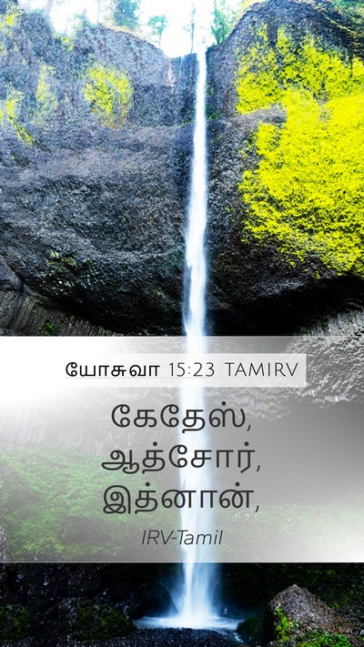 யோசுவா 15:23 TAMIRV Mobile Phone Wallpaper - கேதேஸ், ஆத்சோர், - Mobile Bible Verse Wallpaper
