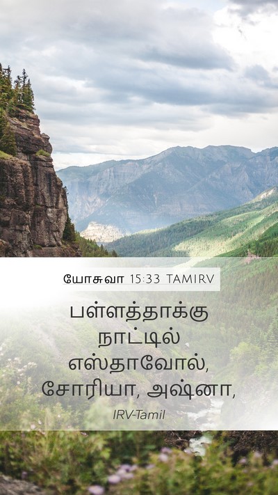 யோசுவா 15:33 TAMIRV Bible Verse Image