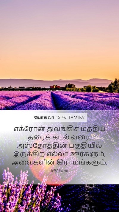 யோசுவா 15:46 TAMIRV Bible Verse Image