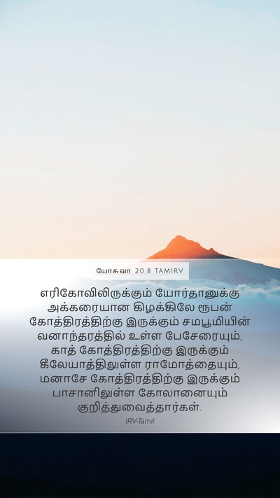 யோசுவா 20:8 TAMIRV Bible Verse Image