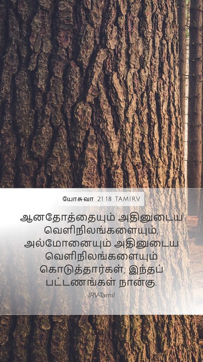 யோசுவா 21:18 TAMIRV Mobile Phone Wallpaper - ஆனதோத்தையும் - Mobile Bible Verse Wallpaper