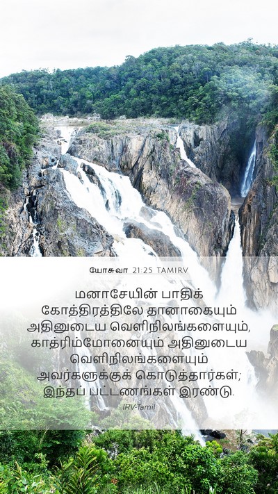 யோசுவா 21:25 TAMIRV Bible Verse Image
