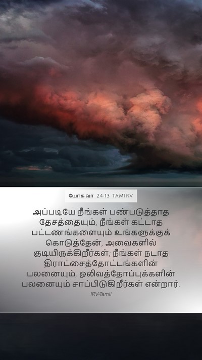 யோசுவா 24:13 TAMIRV Bible Verse Image
