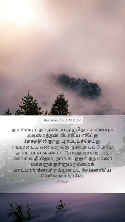 யோசுவா 24:17 TAMIRV Bible Verse Image