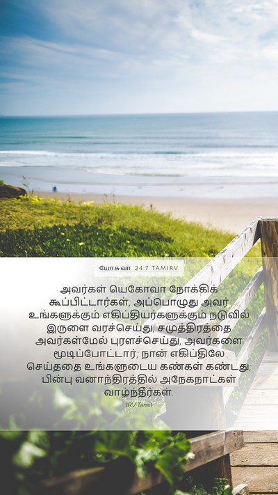 யோசுவா 24:7 TAMIRV Mobile Phone Wallpaper - அவர்கள் யெகோவா - Mobile Bible Verse Wallpaper