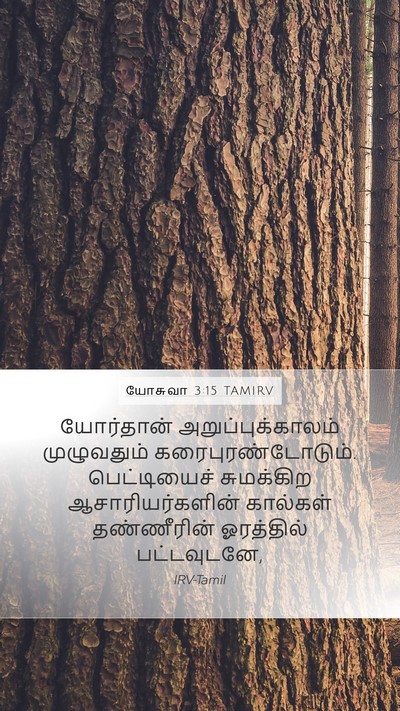 யோசுவா 3:15 TAMIRV Bible Verse Image