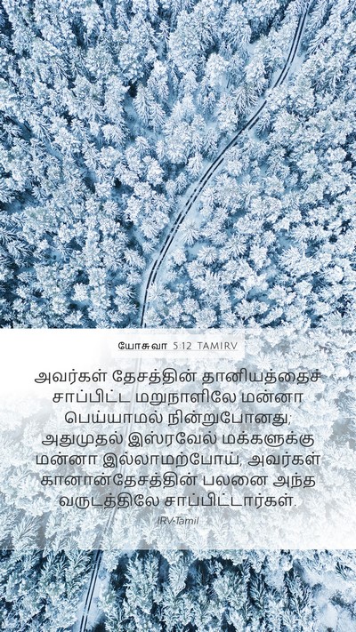 யோசுவா 5:12 TAMIRV Mobile Phone Wallpaper - அவர்கள் தேசத்தின் - Mobile Bible Verse Wallpaper