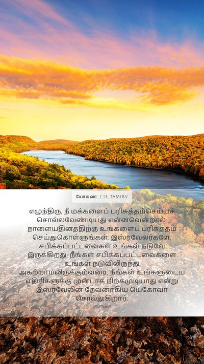 யோசுவா 7:13 TAMIRV Mobile Phone Wallpaper - எழுந்திரு, நீ - Mobile Bible Verse Wallpaper