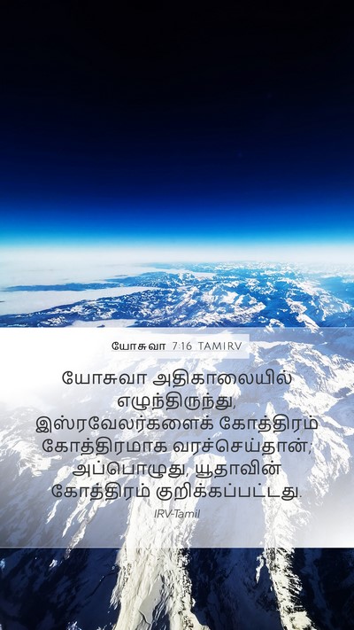 யோசுவா 7:16 TAMIRV Bible Verse Image