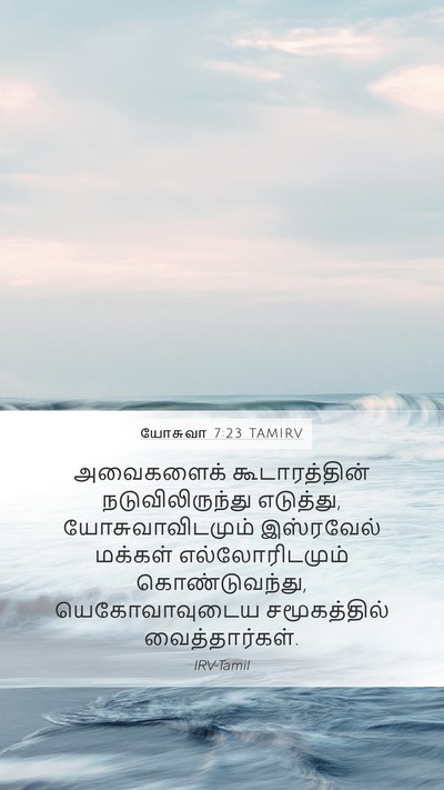 யோசுவா 7:23 TAMIRV Mobile Phone Wallpaper - அவைகளைக் - Mobile Bible Verse Wallpaper