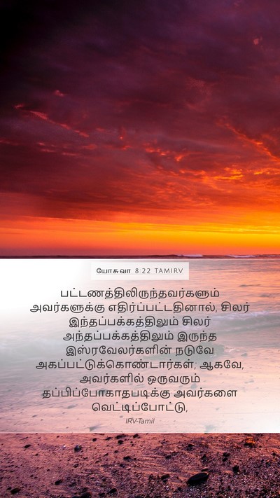 யோசுவா 8:22 TAMIRV Bible Verse Image