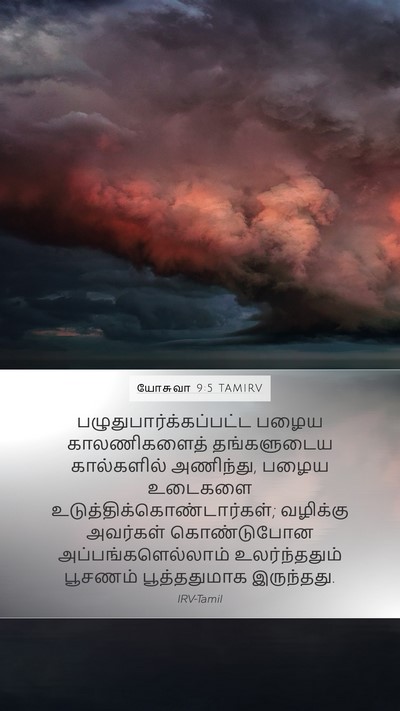 யோசுவா 9:5 TAMIRV Mobile Phone Wallpaper -  - Mobile Bible Verse Wallpaper