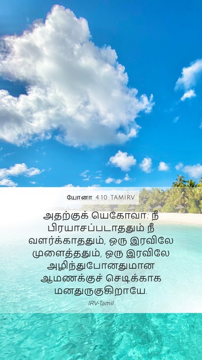 யோனா 4:10 TAMIRV Mobile Phone Wallpaper - அதற்குக் யெகோவா: - Mobile Bible Verse Wallpaper