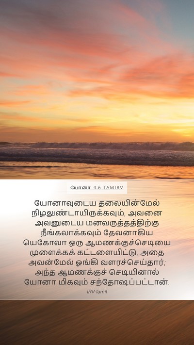 யோனா 4:6 TAMIRV Bible Verse Image