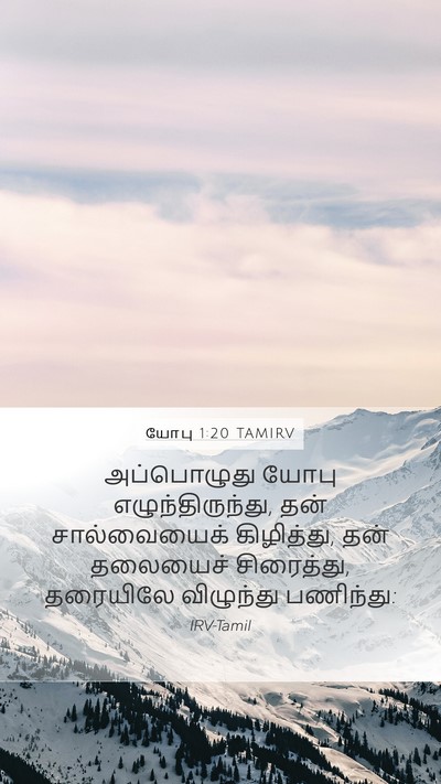 யோபு 1:20 TAMIRV Bible Verse Image
