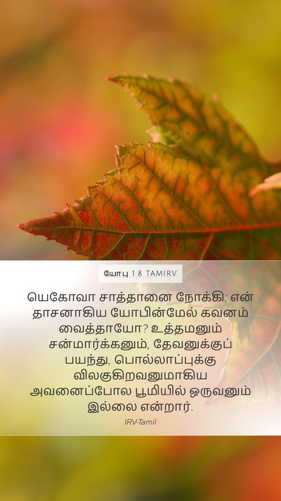 யோபு 1:8 TAMIRV Bible Verse Image