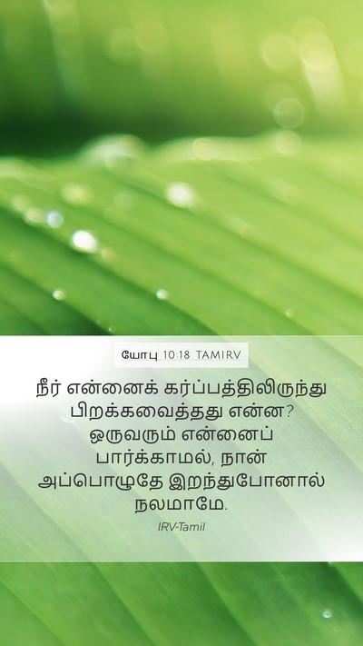 யோபு 10:18 TAMIRV Bible Verse Image