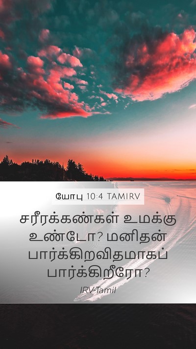 யோபு 10:4 TAMIRV Mobile Phone Wallpaper - சரீரக்கண்கள் - Mobile Bible Verse Wallpaper