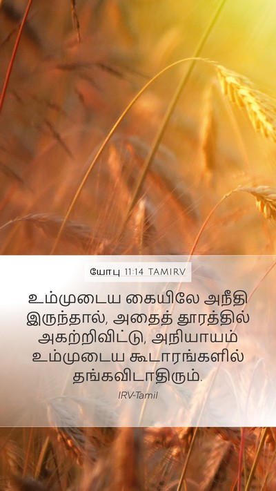 யோபு 11:14 TAMIRV Bible Verse Image