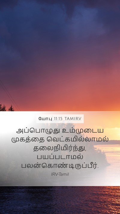 யோபு 11:15 TAMIRV Bible Verse Image