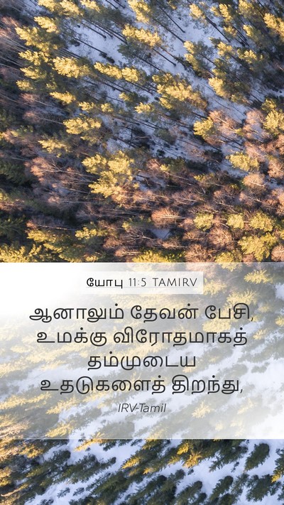 யோபு 11:5 TAMIRV Bible Verse Image
