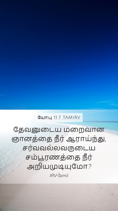யோபு 11:7 TAMIRV Bible Verse Image