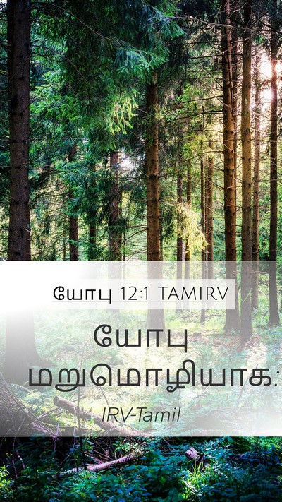 யோபு 12:1 TAMIRV Mobile Phone Wallpaper - யோபு - Mobile Bible Verse Wallpaper