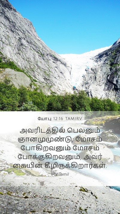 யோபு 12:16 TAMIRV Bible Verse Image
