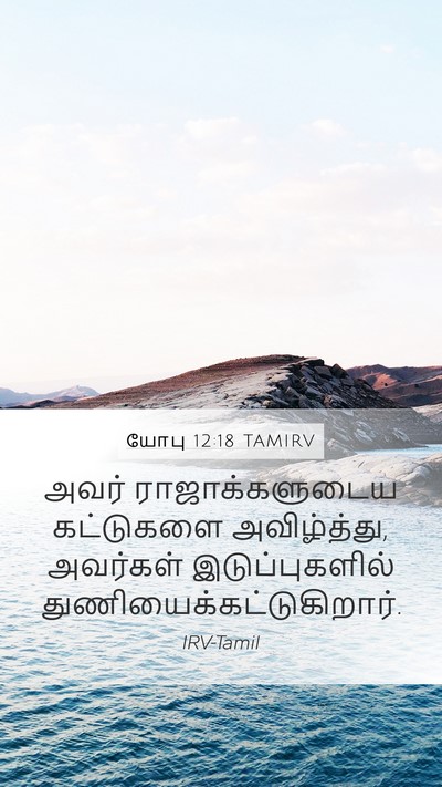 யோபு 12:18 TAMIRV Bible Verse Image