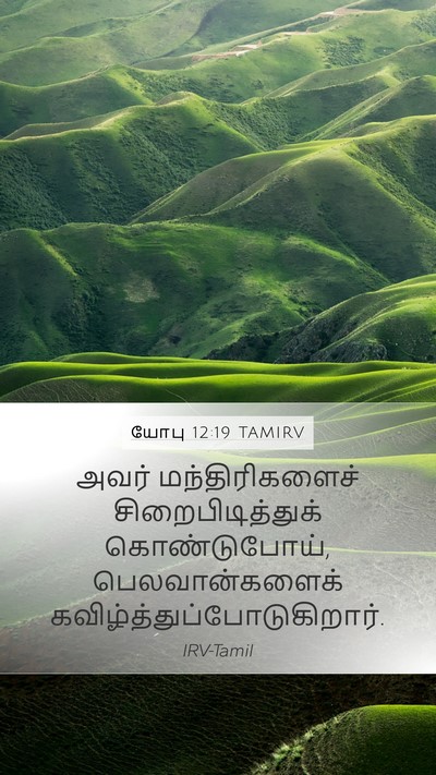 யோபு 12:19 TAMIRV Bible Verse Image