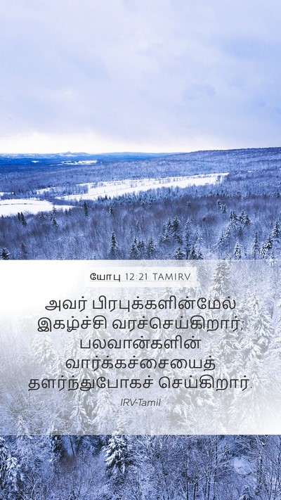 யோபு 12:21 TAMIRV Bible Verse Image
