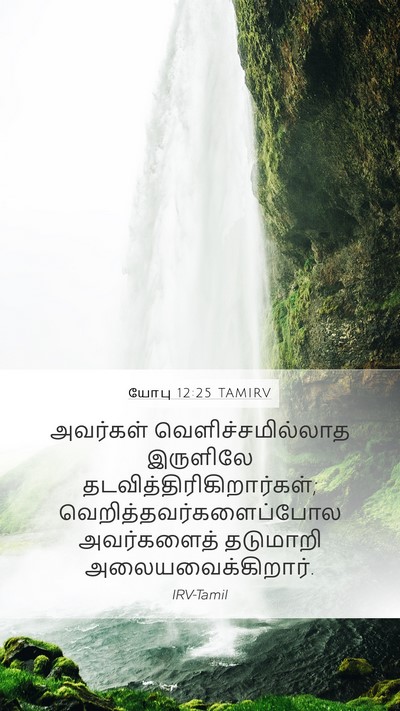 யோபு 12:25 TAMIRV Bible Verse Image