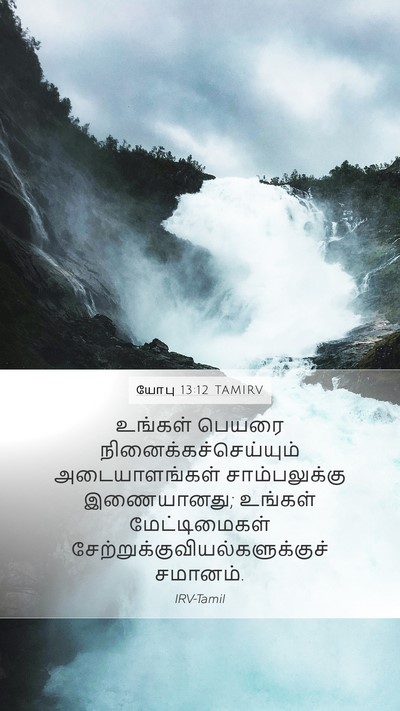 யோபு 13:12 TAMIRV Bible Verse Image