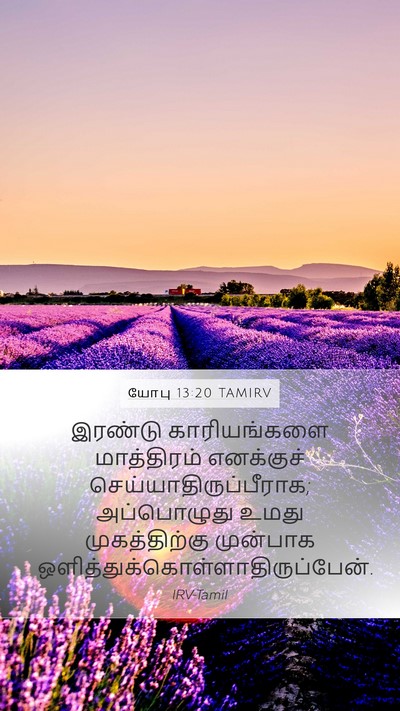 யோபு 13:20 TAMIRV Mobile Phone Wallpaper - இரண்டு காரியங்களை - Mobile Bible Verse Wallpaper