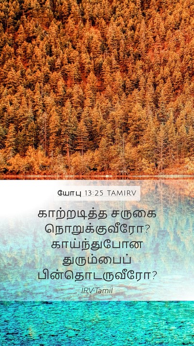 யோபு 13:25 TAMIRV Bible Verse Image