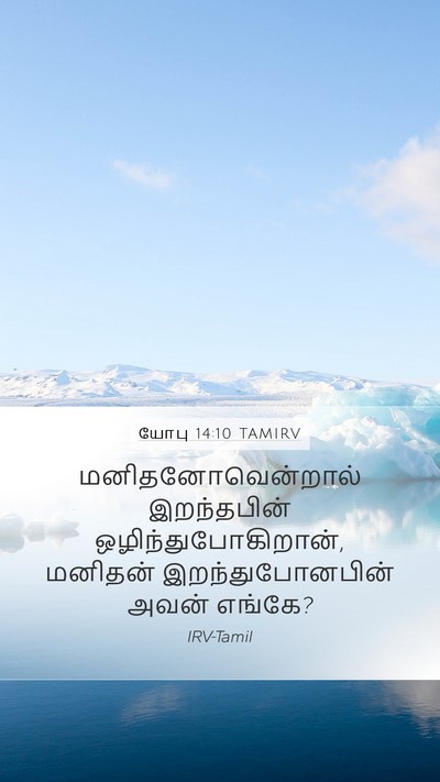 யோபு 14:10 TAMIRV Bible Verse Image