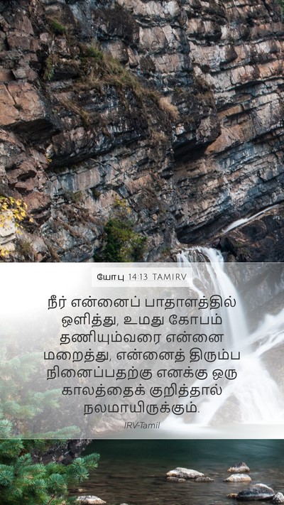 யோபு 14:13 TAMIRV Bible Verse Image