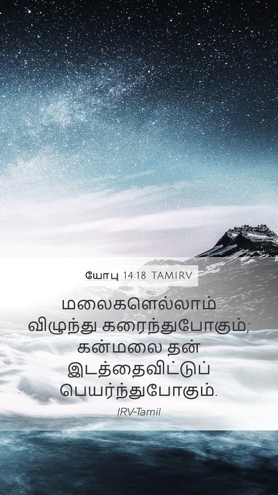 யோபு 14:18 TAMIRV Bible Verse Image