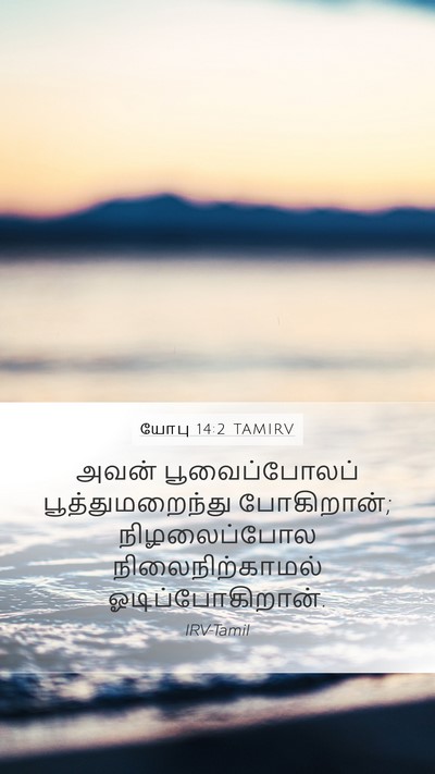 யோபு 14:2 TAMIRV Bible Verse Image